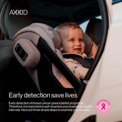 Axkid Blossom Rose - In Car Safety Centre