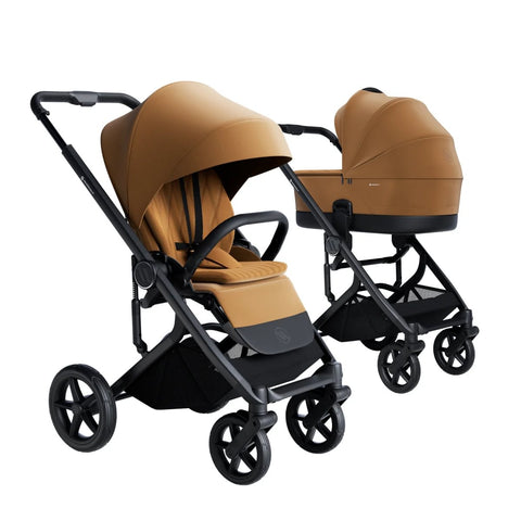 Avionaut Sirius 2 (2-in-1)